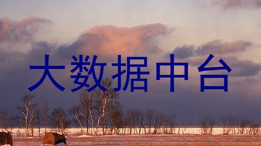 大数据中台