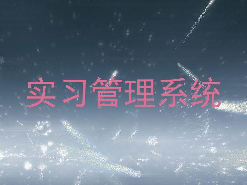 实习管理系统