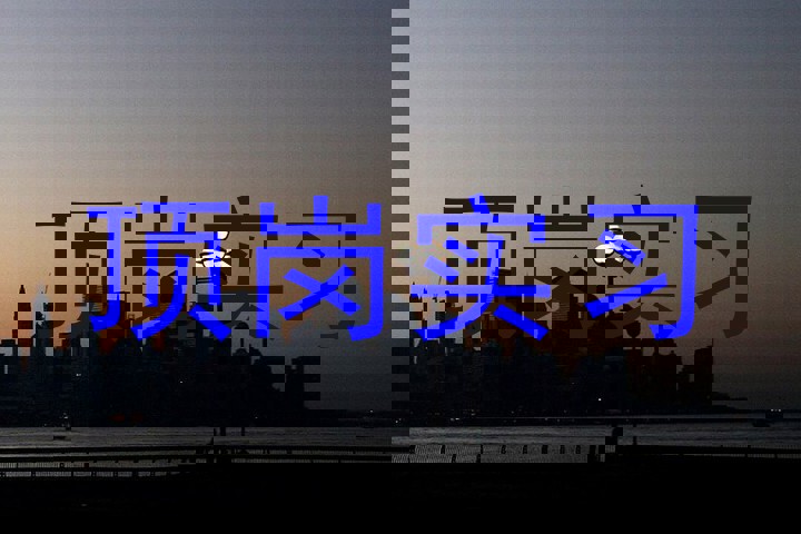 顶岗实习