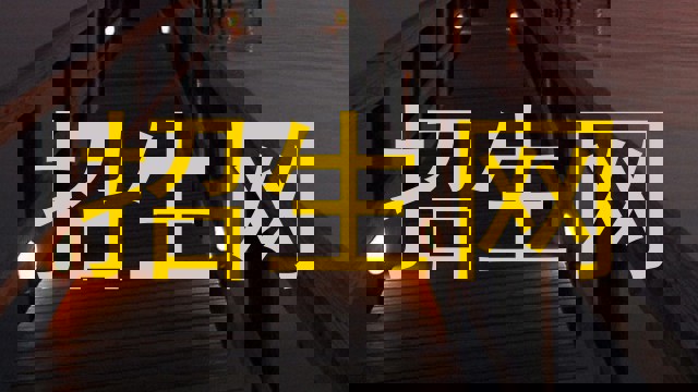 招生网