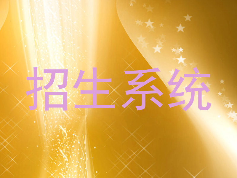 招生系统