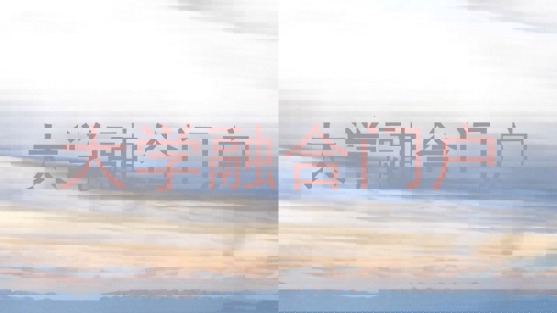 大学融合门户