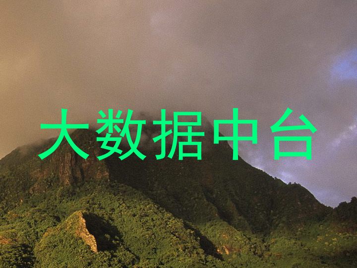 大数据中台