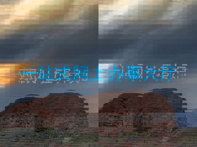 一站式网上办事大厅