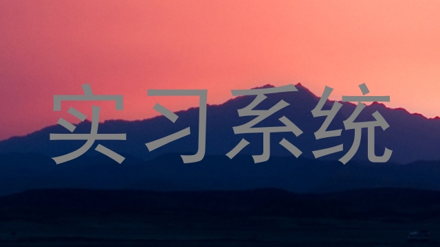 实习系统