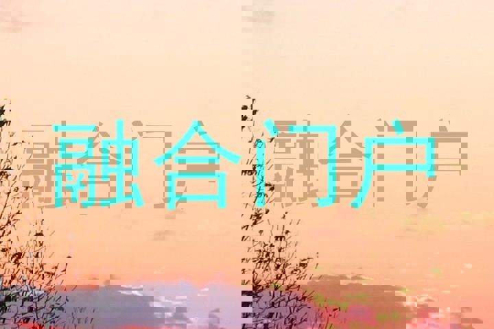 融合门户