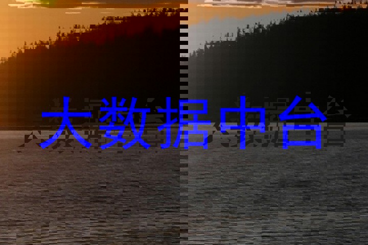 大数据中台