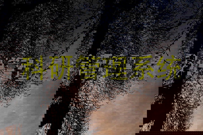 科研管理系统