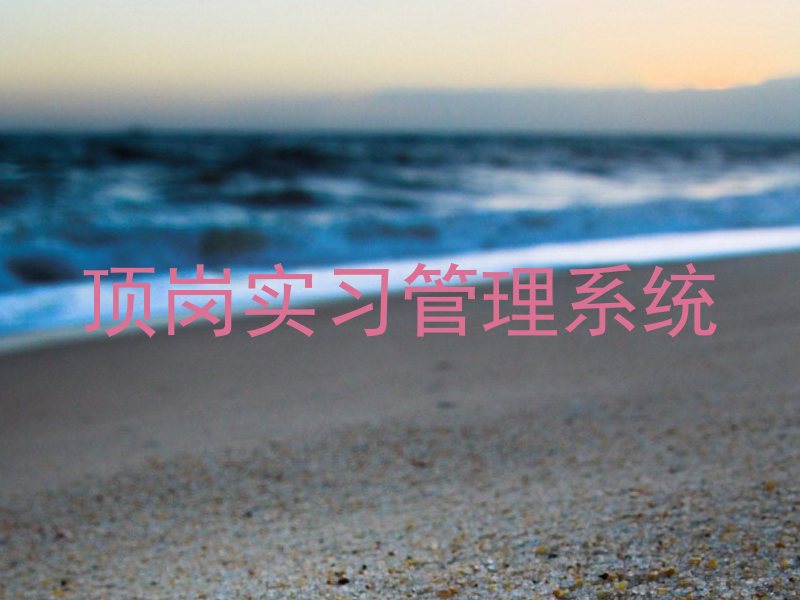 顶岗实习管理系统