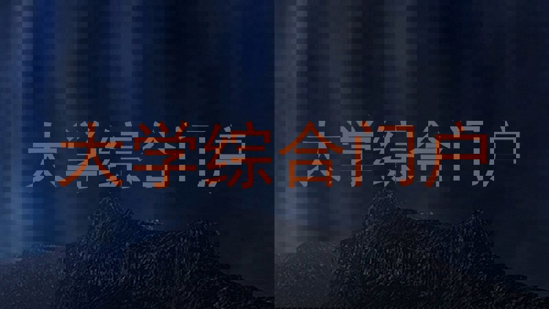 大学综合门户