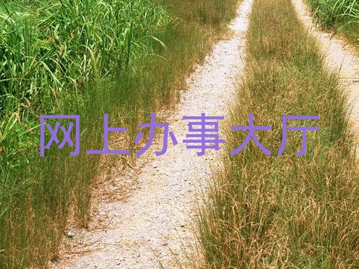 网上办事大厅