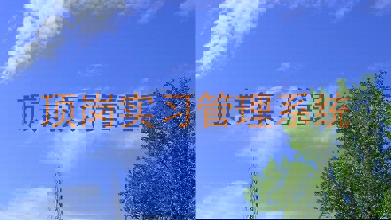 顶岗实习管理系统
