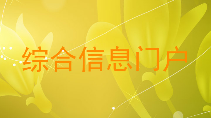 综合信息门户
