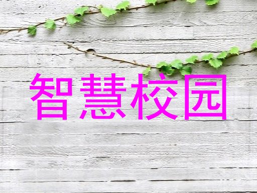 智慧校园