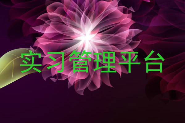实习管理平台