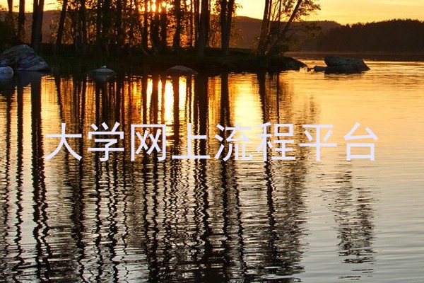 大学网上流程平台