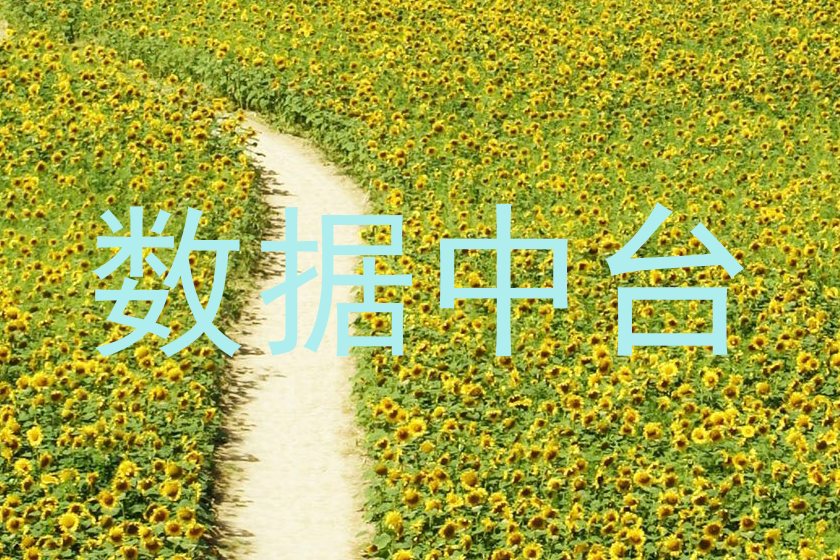 数据中台