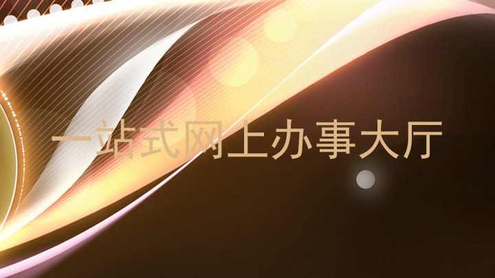 一站式网上办事大厅