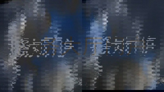 服务大厅门户