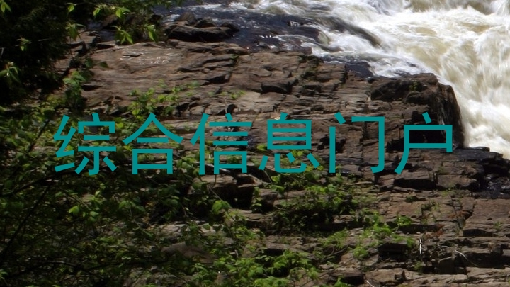 综合信息门户