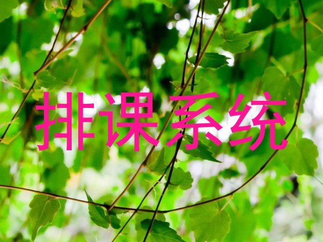 排课系统