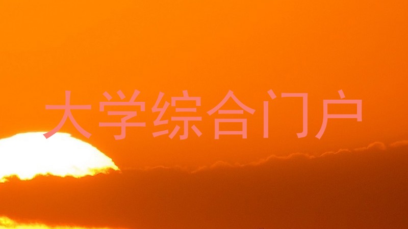 大学综合门户