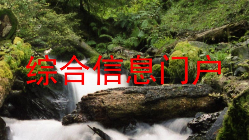 综合信息门户