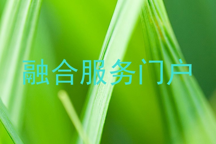 融合服务门户