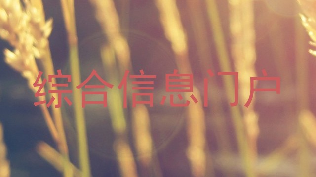 综合信息门户