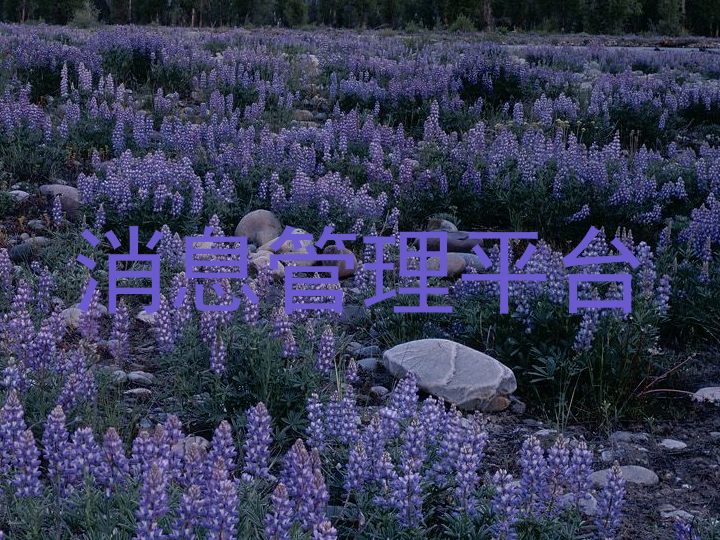 消息管理平台