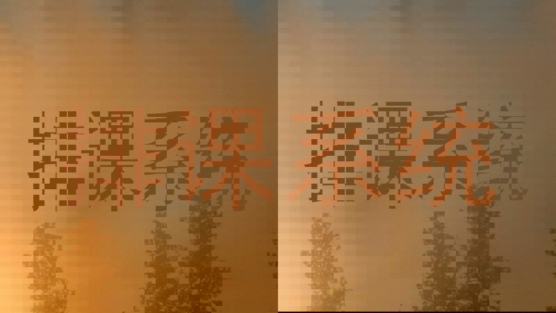 排课系统
