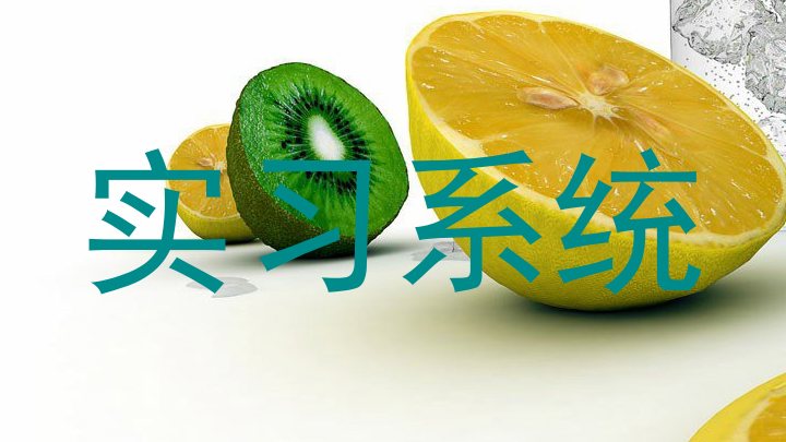 实习系统