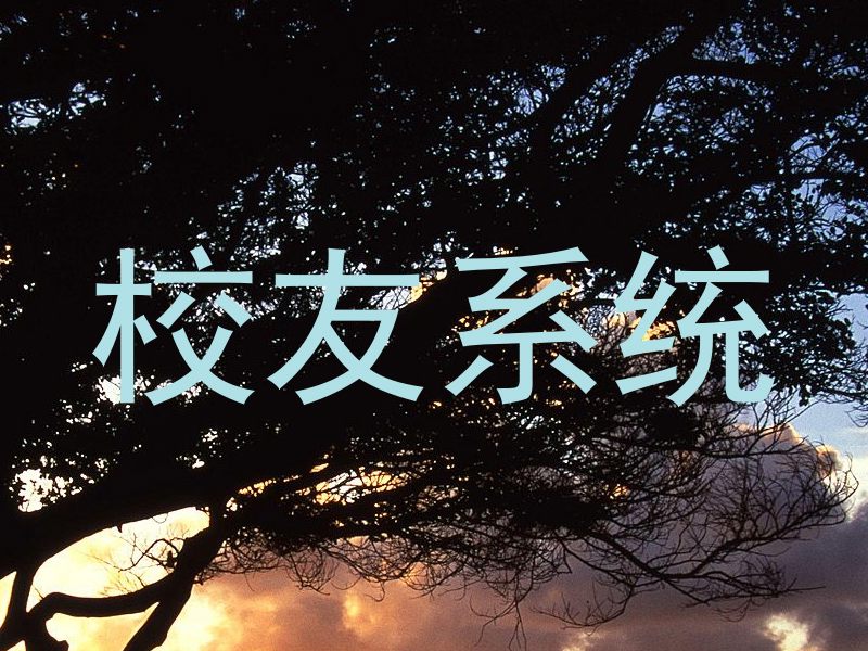 校友系统