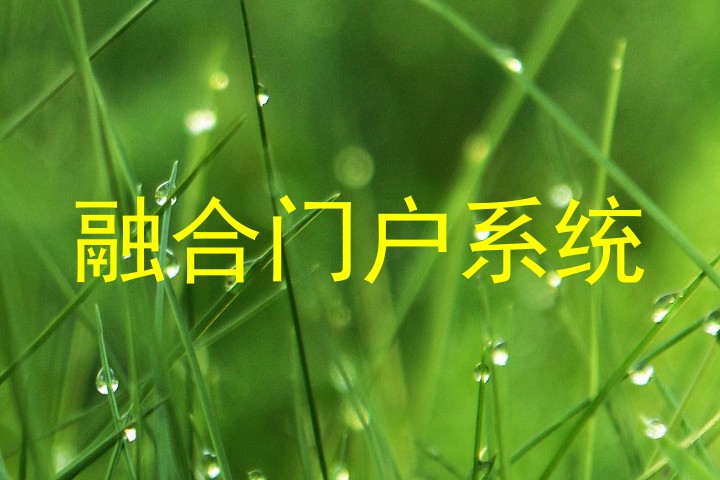 融合门户系统
