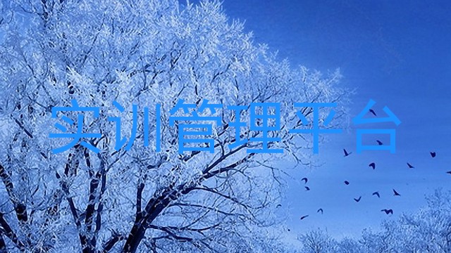 实训管理平台