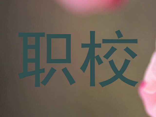 职校