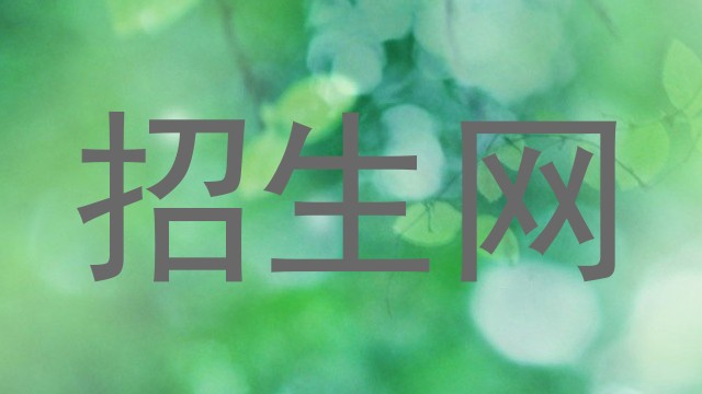 招生网