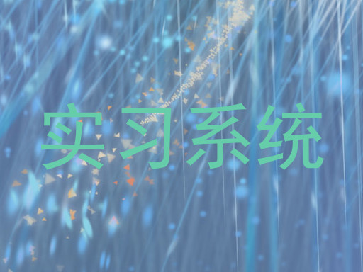 实习系统