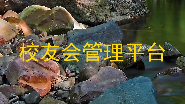 校友会管理平台