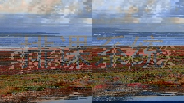 排课系统