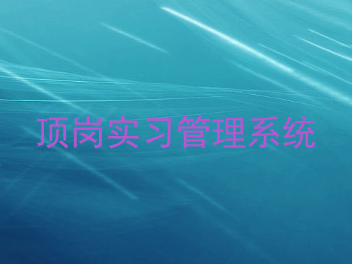 顶岗实习管理系统