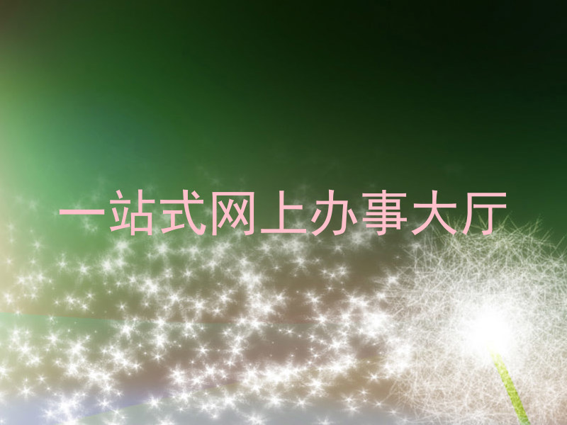 一站式网上办事大厅