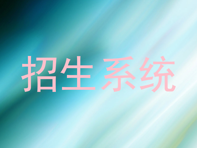 招生系统