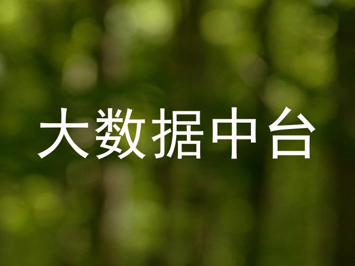 大数据中台