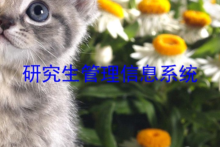 研究生管理信息系统