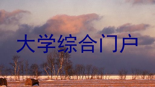 大学综合门户