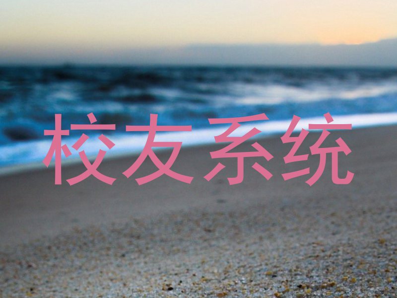 校友系统