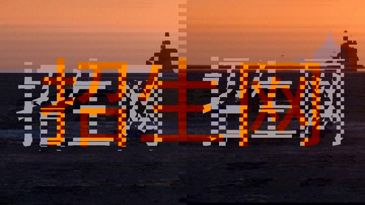 招生网