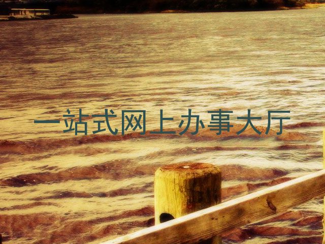 一站式网上办事大厅