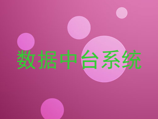 数据中台系统